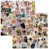 Cat Meme Stickers, Funny Cat Stickers for Journaling Adults Kawaii,Cute Waterproof Vinyl Sticker for Water Bottles Laptops 50Pcs