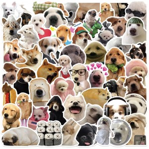 Cat Meme Stickers, Funny Cat Stickers for Journaling Adults Kawaii,Cute Waterproof Vinyl Sticker for Water Bottles Laptops 50Pcs