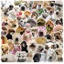 Cat Meme Stickers, Funny Cat Stickers for Journaling Adults Kawaii,Cute Waterproof Vinyl Sticker for Water Bottles Laptops 50Pcs