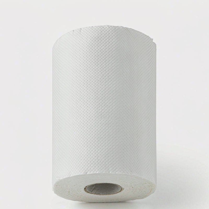 Toilet Paper 4 Ply 24 Rolls Premium Quilted Soft
