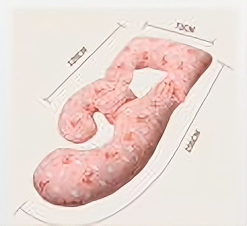 Pregnant Women Pillow