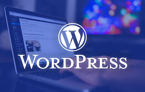 WordPress默认蓝色 favicon.ico 图标的替换/去除方法